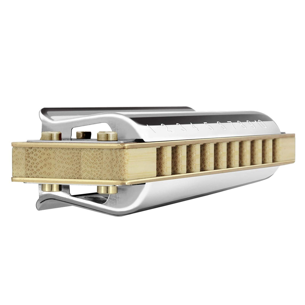 Diatonic Harmonica 10 Hole 20 Tones Blues Harp Mouth Organ Instrumentos Diatonic Key of C Musical Instruments (Color : Key of Low G)