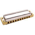 Diatonic Harmonica 10 Hole 20 Tones Blues Harp Mouth Organ Instrumentos Diatonic Key of C Musical Instruments (Color : Key of Low G)