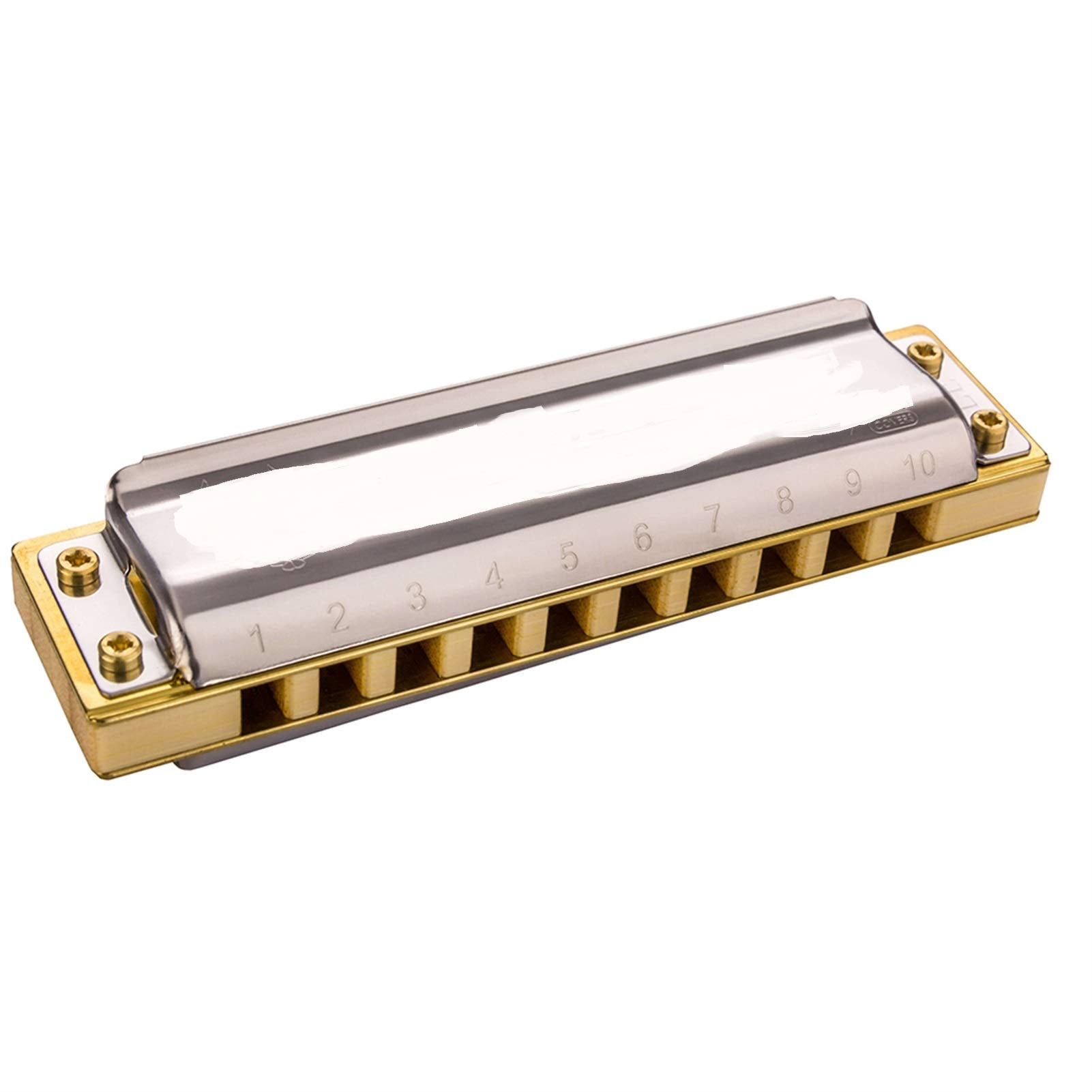 Diatonic Harmonica 10 Hole 20 Tones Blues Harp Mouth Organ Instrumentos Diatonic Key of C Musical Instruments (Color : Key of Low G)