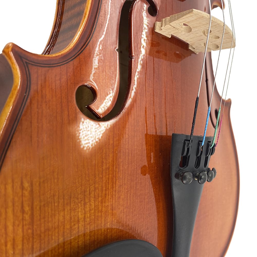 4/4 Violin for Beginners & Adults, Full Size Solid Wood Acoustic Violin with Flamed Back, Case, Bow,Shoulder Rest & Accessories Glossy Finish