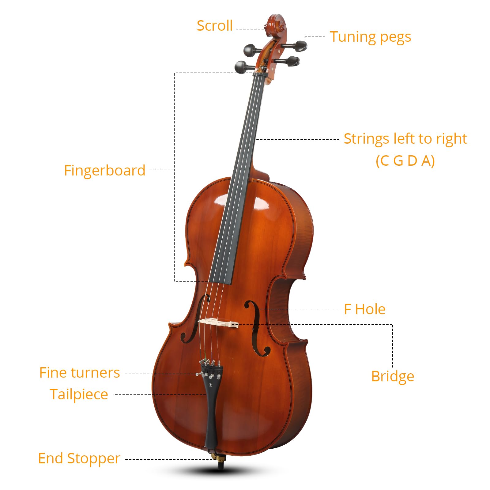 4/4 Full Size Cello Set,Professional Handmade Solid Wood Acoustic Cello with Portable Bag,Bow,Rosin,Cello Musical Instrument for Beginners & Adults (Natural)