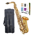 Beginner Alto Saxophone, E Flat - Complete Starter Kit with Case & 10 Reeds, for Adults & Students, Easy to Play for School Band & Practice(Gold)