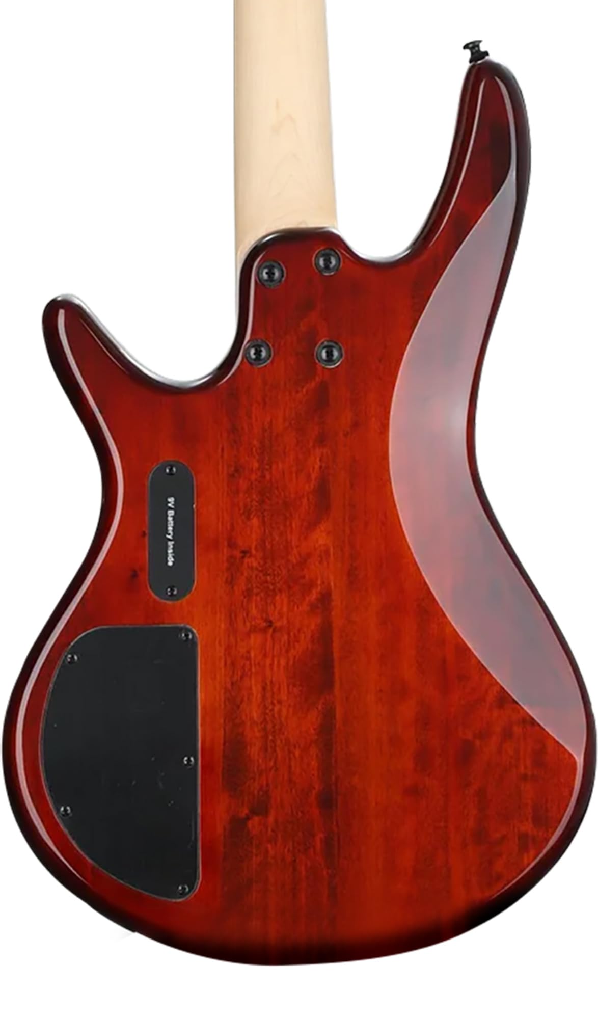 Ibanez GSR205B SR Gio 5-String Bass Guitar - Walnut Flat Bundle with Gig Bag, Tuner, Strap, Cable, Austin Bazaar Instructional DVD, and Polishing Cloth