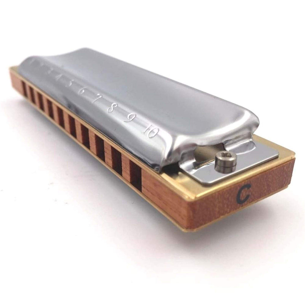 Harmonica Blues Harp Diatonic Harmonica 10 Hole 20 Tone Musical Instruments Mouth Organ Key C