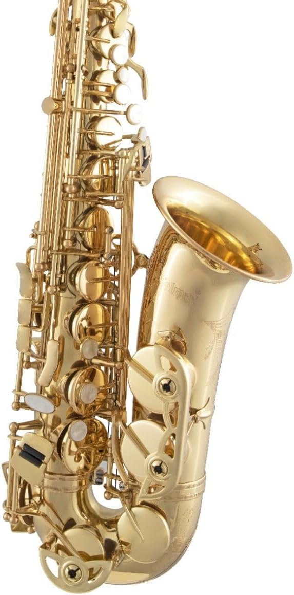 Selmer SAS511 Intermediate Alto Saxophone - Lacquer