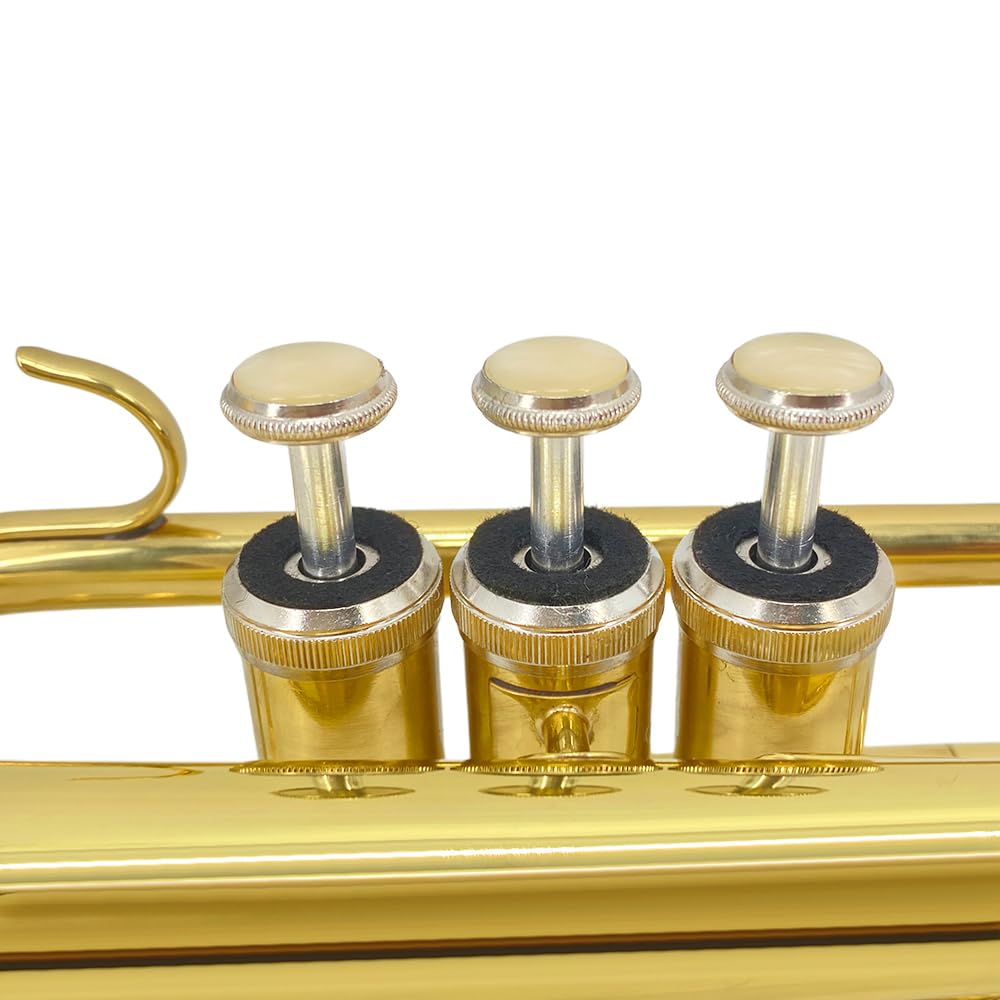 Bb Cornet Brass Instrument, B Flat Nickel Plated with Mouthpiece, Carrying Case, Gloves and Cleaning Cloth, Professional Cornet for Students and Beginners（Golden）