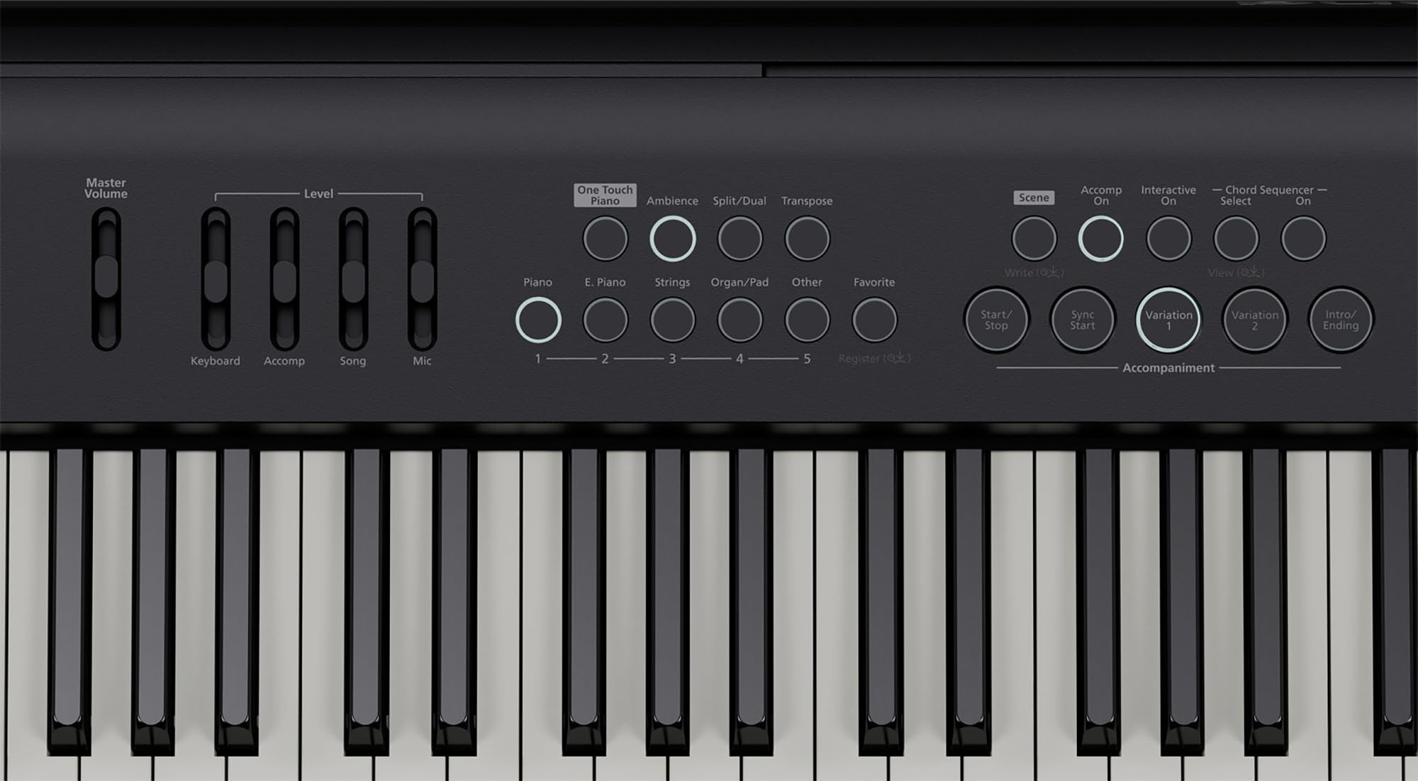 Roland FP-E50 88-Key Digital Piano Bundle with Sustain Pedal, Cover, Cable, Austin Bazaar Instructional Video and Polishing Cloth