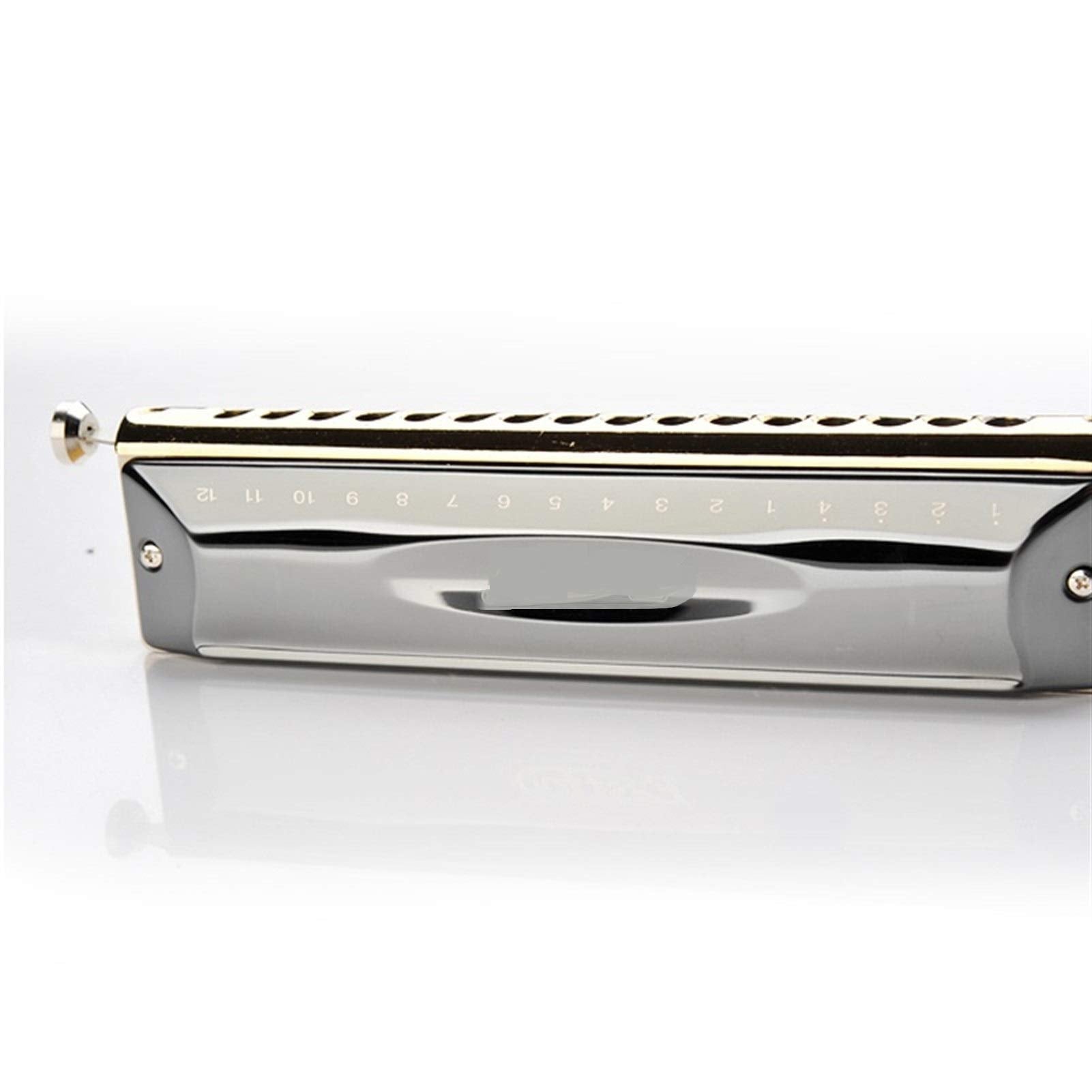 Professional 16 Holes 64 Tone Chromatic Harmonica Mouth Organ Blues Harp Music Instrumentos Key C Musical Instruments (Color : Black ABS Comb)