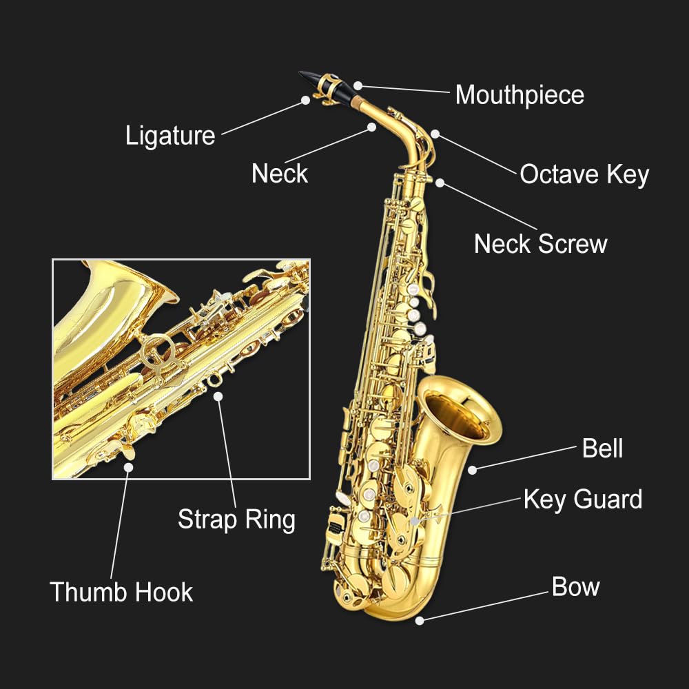 Student Eb Alto Saxophone E Flat for Beginners Sax Full Kit with Pads Cushions,Hard Carrying Case,Neck Strap,Reeds,Cleaning Cloth & Rod,Mouthpiece,Gloves