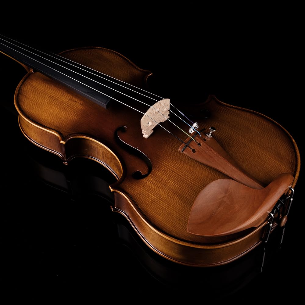 Rhythm Violin Set for Beginners,Acoustic Violins Starter Kit Package for Student,Beginners Fiddle with Hard Case, Rosin, Shoulder Rest, Bow, and Extra Strings (NATURAL, Full)