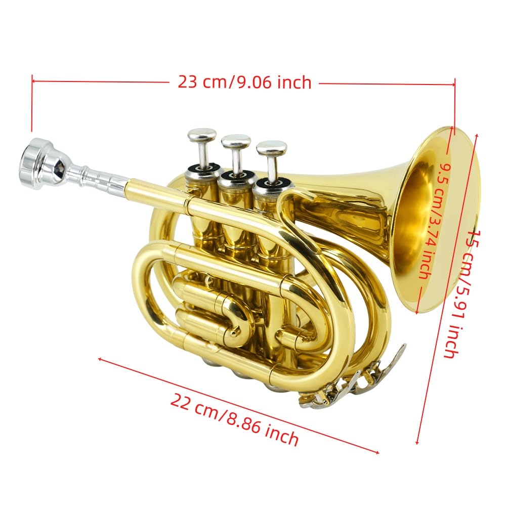 Bb Pocket Trumpet - Brass Pocket Trumpet B Flat Nickel Plated, 7C Mouthpiece, Complete Beginner Kit - Includes Hard Carrying Case, Cleaning Kit, Gloves, golden