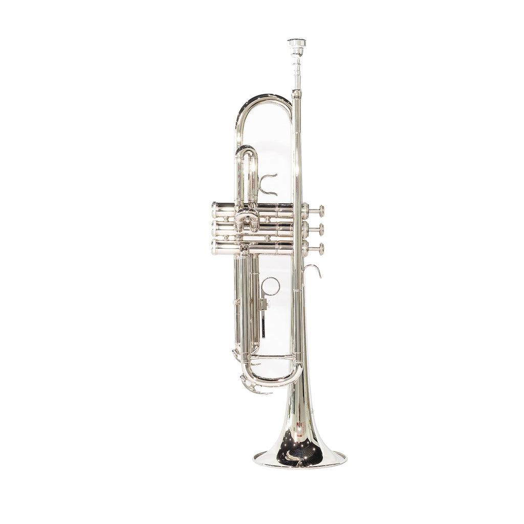 LeSage Bb Standard Trumpet Set for Beginner, Brass Student Trumpet with Carrying Case, Care Kit, Valve Oil, Cloth, 7C Mouthpiece & Gloves Silver