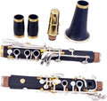 Professional B Flat Ebony Clarinet 17 Keys Silver Plated Brass Tube Clarinet Set