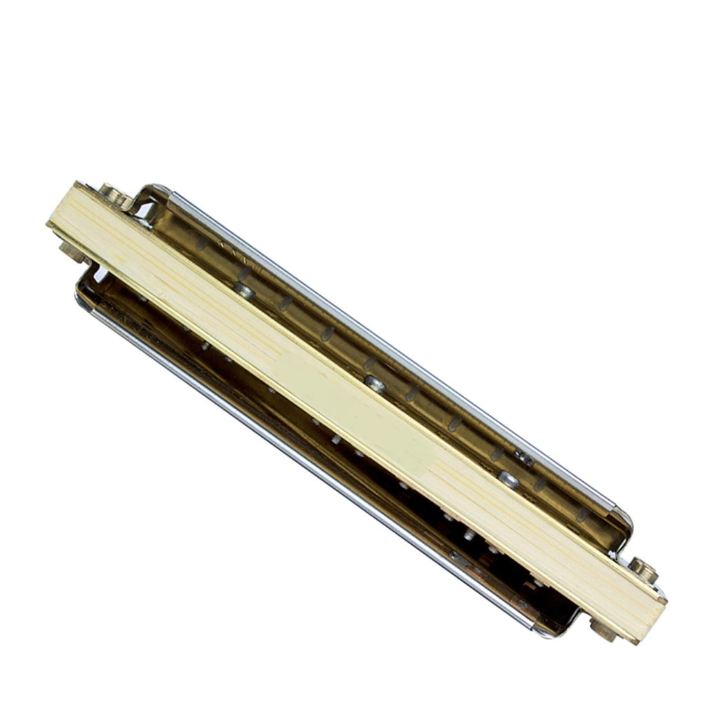 Diatonic Harmonica 10 Hole 20 Tones Blues Harp Mouth Organ Instrumentos Diatonic Key of C Musical Instruments (Color : Key of Low G)