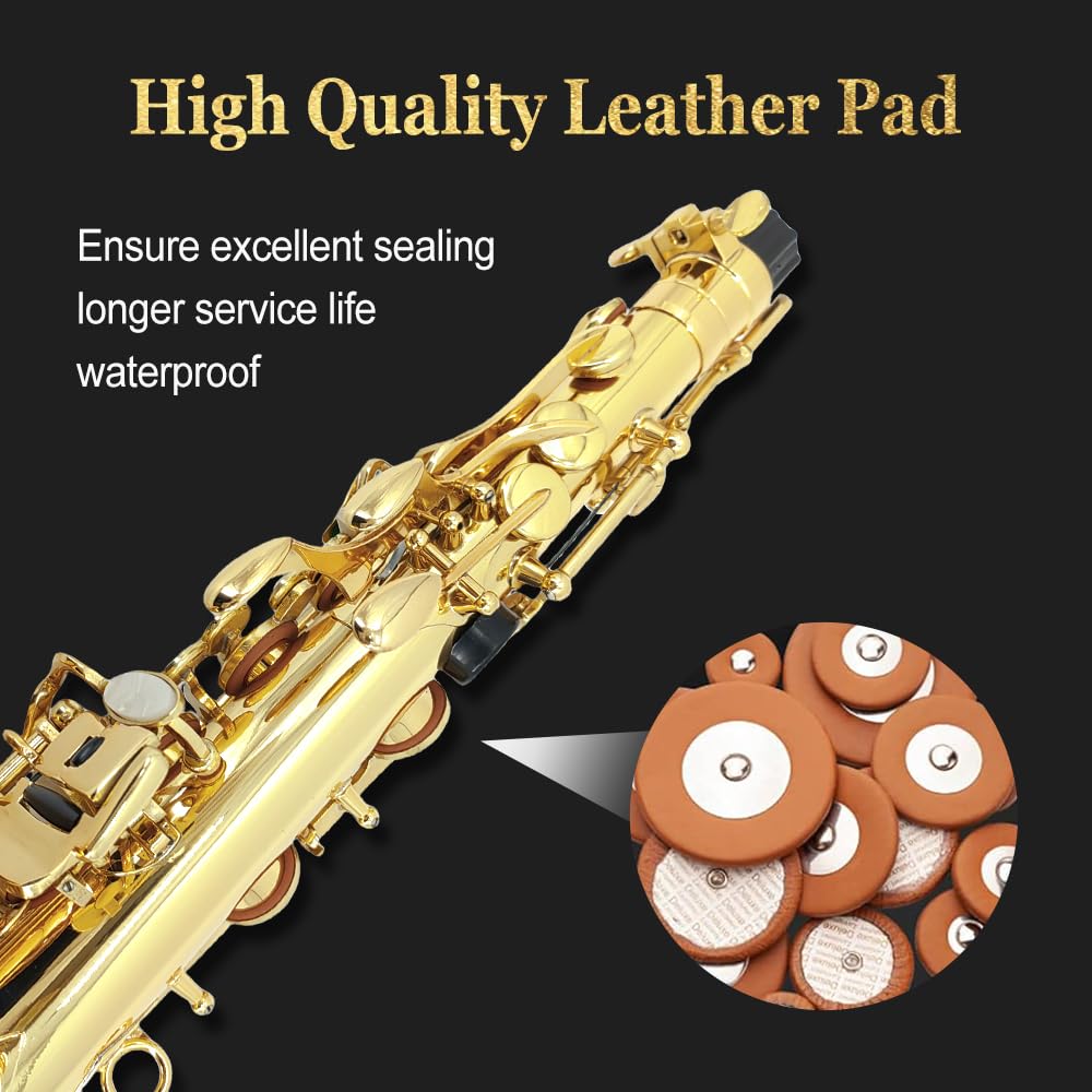 Eb Alto Saxophone Gold Lacquer Brass E-Flat Student Kit with Hard Carrying Case - Includes Mouthpiece, Reeds, Neck Strap and Gloves for School Band