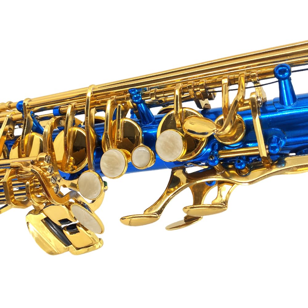 Alto Saxophone, Eb Flat Sax Complete Kit with Case & Accessories for Student, Adult & Beginner (Alto Saxophone Set with Mouthpiece, Reeds, Gloves, Cloth & Brush)-Golden