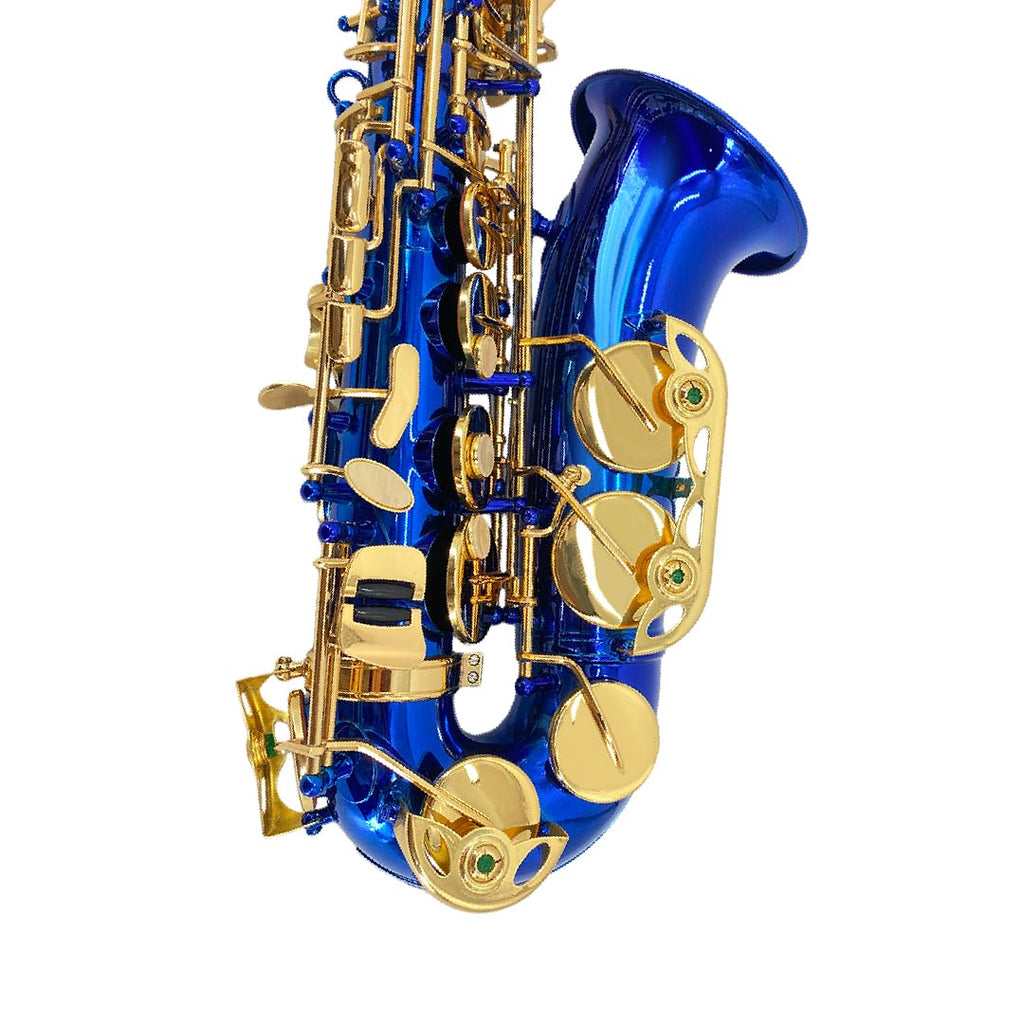 Beginner Alto Saxophone, E Flat - Complete Starter Kit with Case & 10 Reeds, for Adults & Students, Easy to Play for School Band & Practice(Gold)