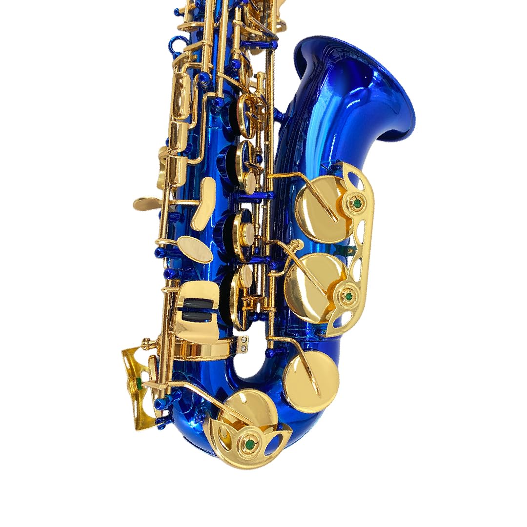 Beginner Alto Saxophone, E Flat - Complete Starter Kit with Case & 10 Reeds, for Adults & Students, Easy to Play for School Band & Practice(Gold)