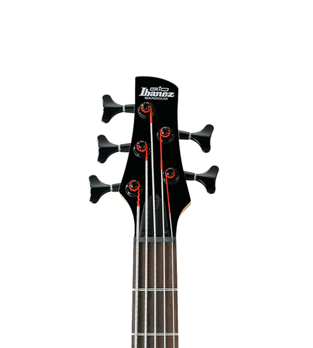Ibanez GSR205B SR Gio 5-String Bass Guitar - Walnut Flat Bundle with Gig Bag, Tuner, Strap, Cable, Austin Bazaar Instructional DVD, and Polishing Cloth