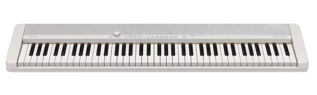 Casio CT-S1 Casiotone 61-Key Portable Keyboard - Black Bundle with Adjustable Stand, Bench, Headphones, Sustain Pedal, Instructional Book, Instructional DVD, and Austin Bazaar Polishing Cloth