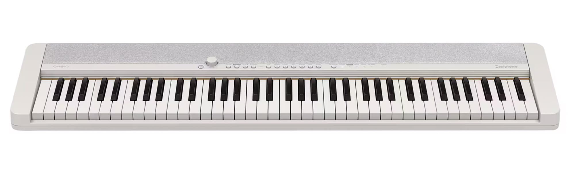 Casio CT-S1 Casiotone 61-Key Portable Keyboard - Black Bundle with Adjustable Stand, Bench, Headphones, Sustain Pedal, Instructional Book, Instructional DVD, and Austin Bazaar Polishing Cloth