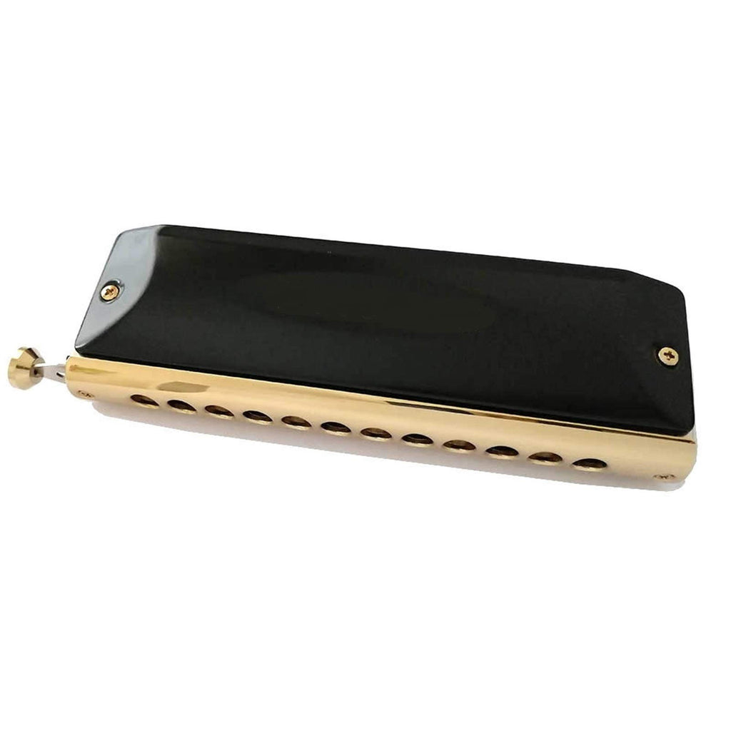 Chromatic Harmonica 12 16 Holes Mouth Organ Instrumentos Key C Phosphor Bronze Reeds Professional Musical Instruments (Color : QM Y1664BK1)