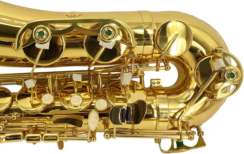 Yinfente Bb Tenor Saxophone Professional Beginner Kit-B Flat Tenor Sax Complete Student Set with Hard Case,Reeds,Cleaning Cloth,Neck Straps,Mouthpiece Gold