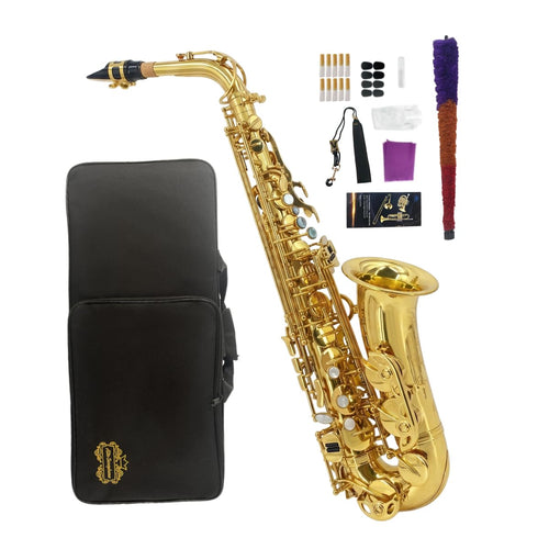 Beginner Alto Saxophone, E Flat - Complete Starter Kit with Case & 10 Reeds, for Adults & Students, Easy to Play for School Band & Practice(Gold)