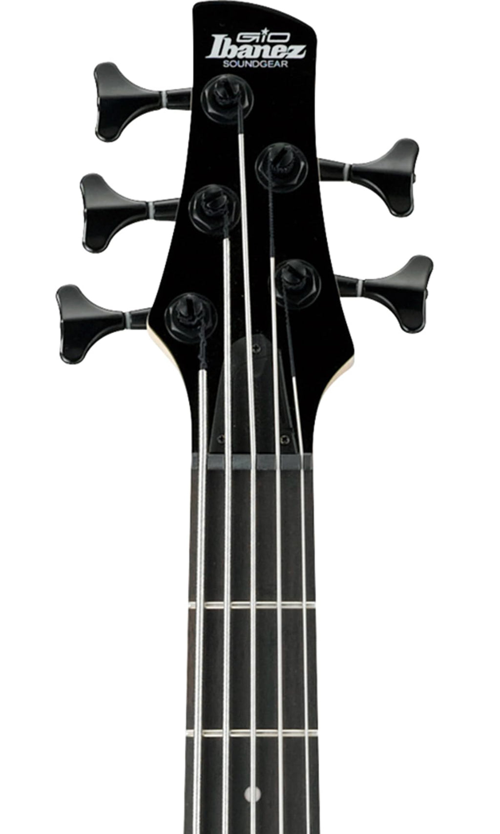 Ibanez GSR205B SR Gio 5-String Bass Guitar - Walnut Flat Bundle with Gig Bag, Tuner, Strap, Cable, Austin Bazaar Instructional DVD, and Polishing Cloth