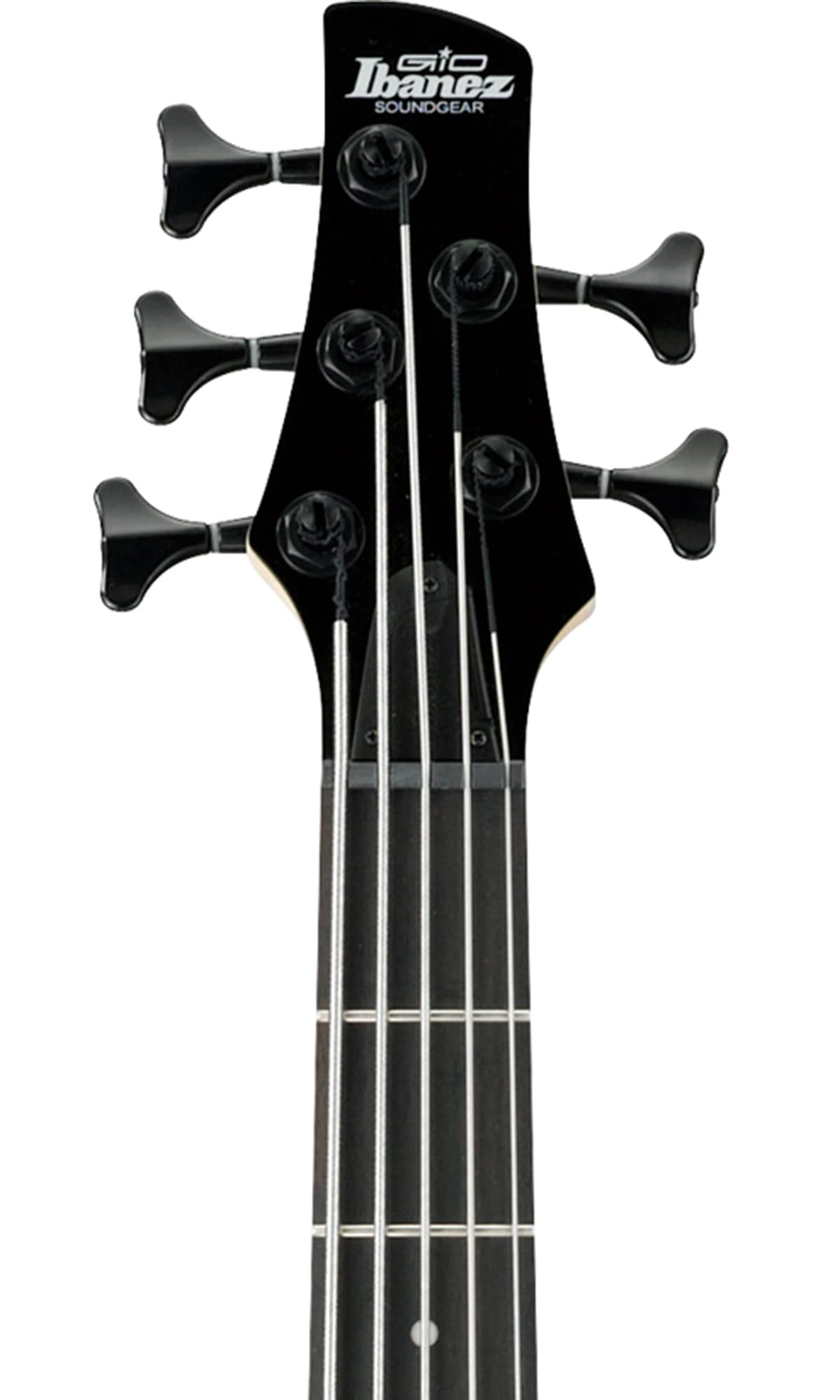 Ibanez GSR205B SR Gio 5-String Bass Guitar - Walnut Flat Bundle with Gig Bag, Tuner, Strap, Cable, Austin Bazaar Instructional DVD, and Polishing Cloth