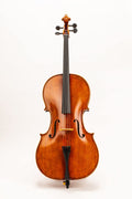 Cello D Z Strad Model 600 Size 4/4 Handmade by Prize Winning Luthiers