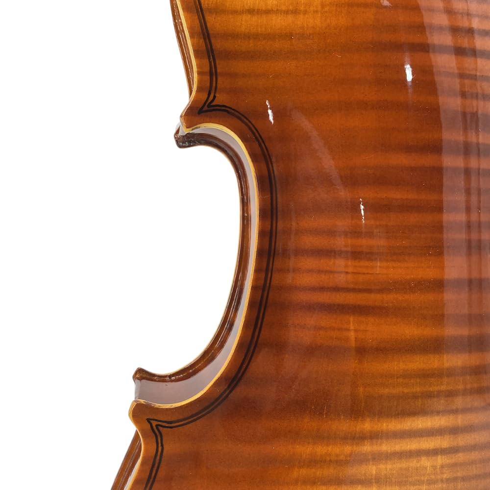 1/2 Violin Set for Beginners Violin Fiddle Set for Beginners with Shoulder Rest Bow Bridge Hard Case and Extra 4strings