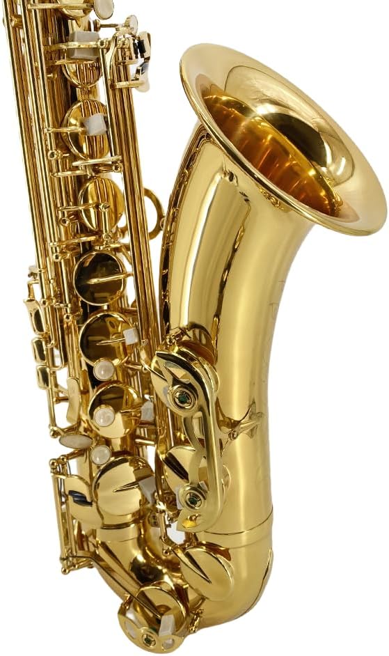 Yinfente Bb Tenor Saxophone Professional Beginner Kit-B Flat Tenor Sax Complete Student Set with Hard Case,Reeds,Cleaning Cloth,Neck Straps,Mouthpiece Gold