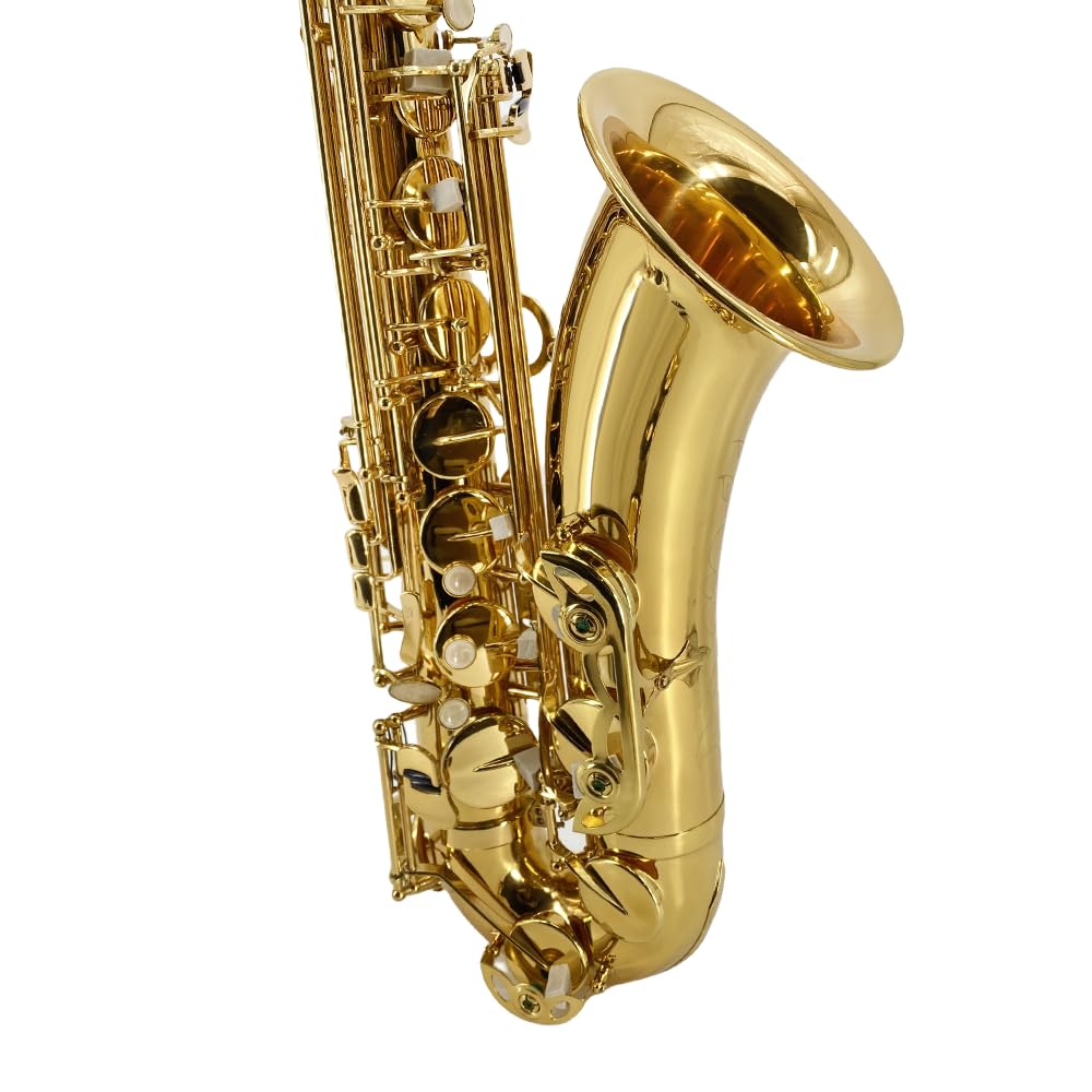 Alto Saxophone E Flat for Adults Student Sax Eb Alto Full Kit With Carrying Sax Case Mouthpiece Straps Reeds Saxophone Beginner Kit