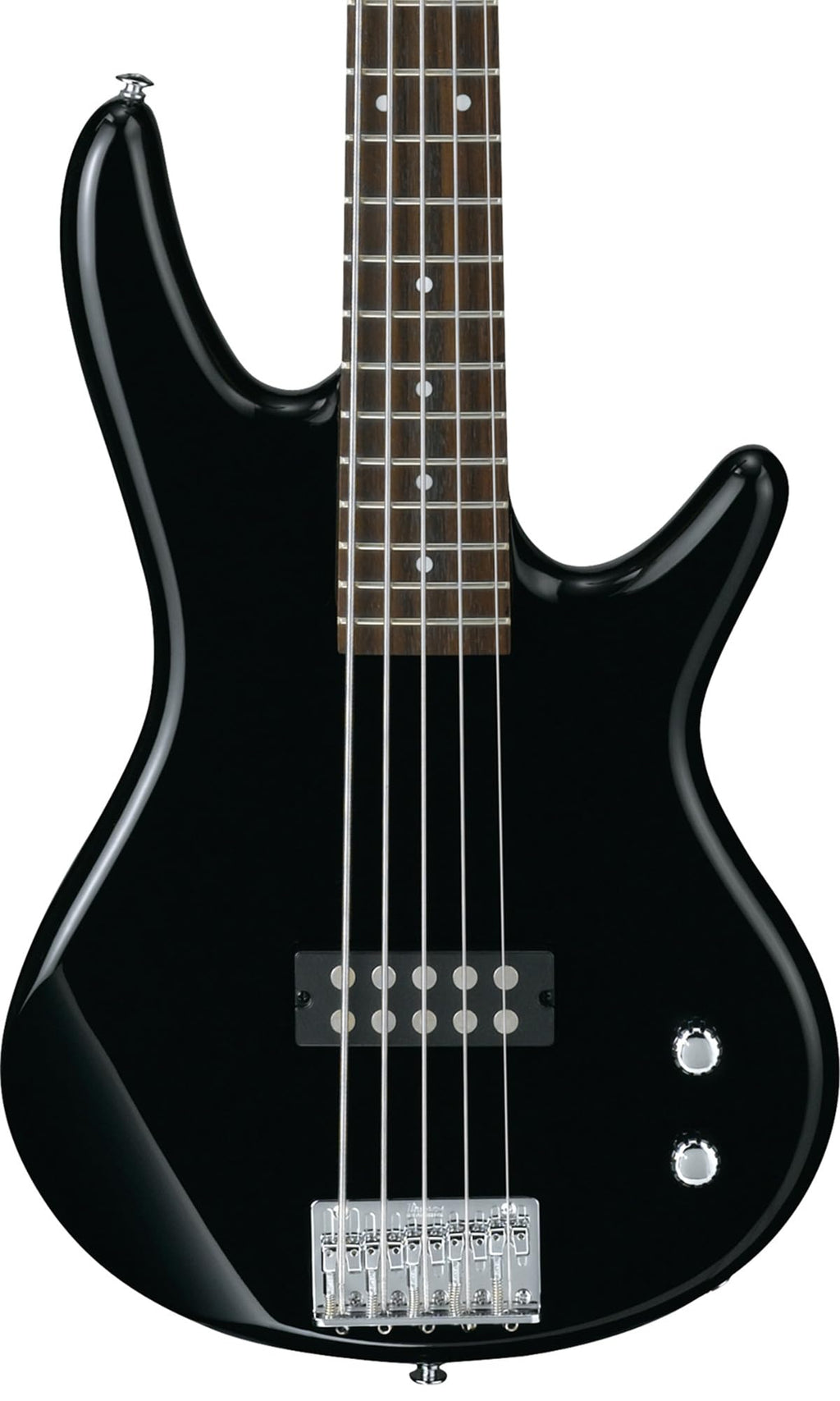 Ibanez GSR205B SR Gio 5-String Bass Guitar - Walnut Flat Bundle with Gig Bag, Tuner, Strap, Cable, Austin Bazaar Instructional DVD, and Polishing Cloth