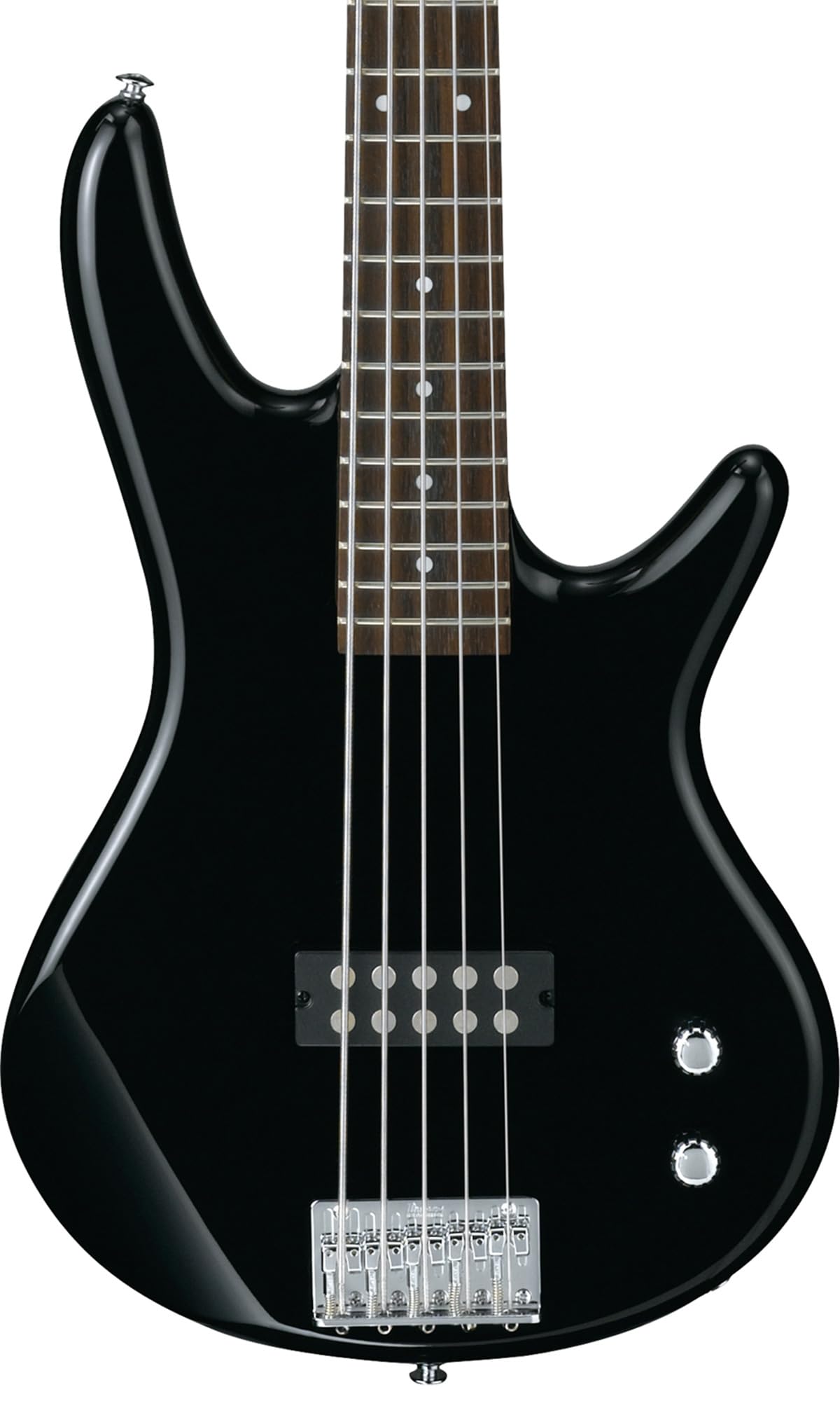 Ibanez GSR205B SR Gio 5-String Bass Guitar - Walnut Flat Bundle with Gig Bag, Tuner, Strap, Cable, Austin Bazaar Instructional DVD, and Polishing Cloth