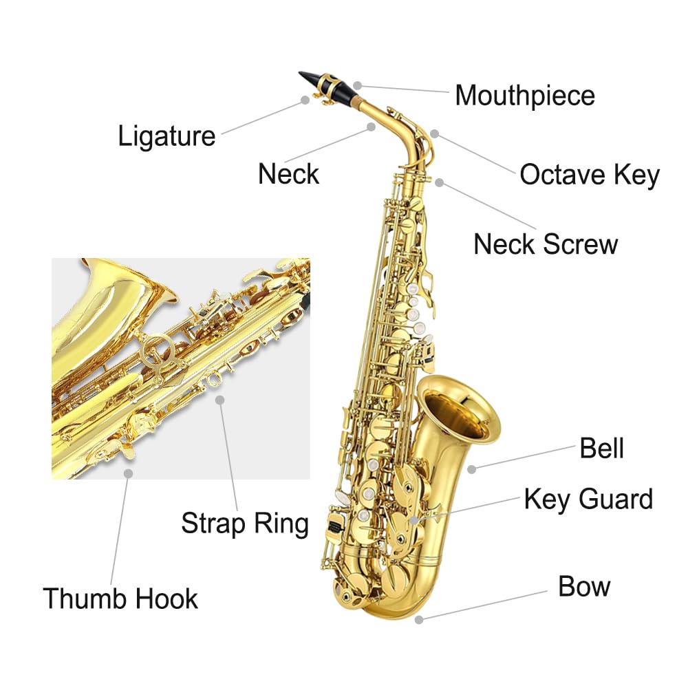 Alto Saxophone, Eb Flat Sax Complete Kit with Case & Accessories for Student, Adult & Beginner (Alto Saxophone Set with Mouthpiece, Reeds, Gloves, Cloth & Brush)-Golden