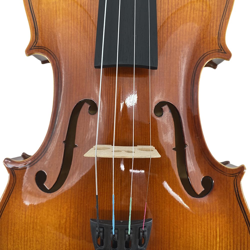 4/4 Violin for Beginners & Adults, Full Size Solid Wood Acoustic Violin with Flamed Back, Case, Bow,Shoulder Rest & Accessories Glossy Finish