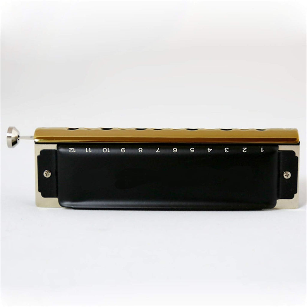 Harmonica 12 Holes Diatonic Harp Instrumento Mouth Organ Musical Instruments Windwood
