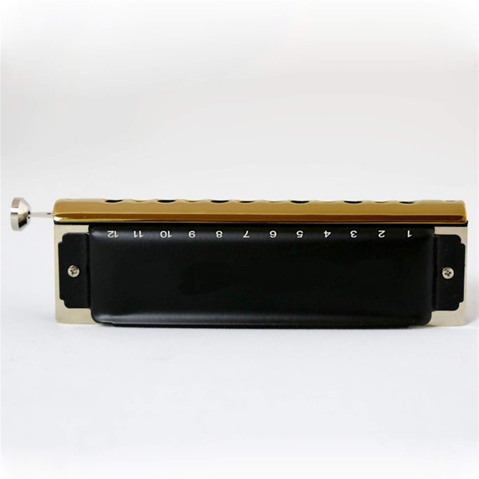 Harmonica 12 Holes Diatonic Harp Instrumento Mouth Organ Musical Instruments Windwood