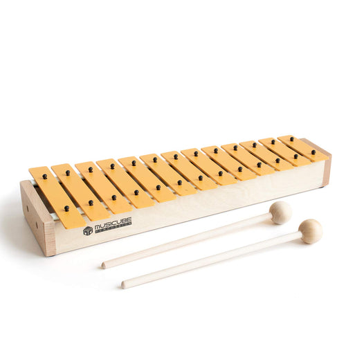 13 Keys Xylophone for Kids Wooden Xylophone Musical Instrument with Mallets Glockenspiel Instrument Educational Sensory Musical Toys Christmas Gift Choice for Boys Girls Aged 3+