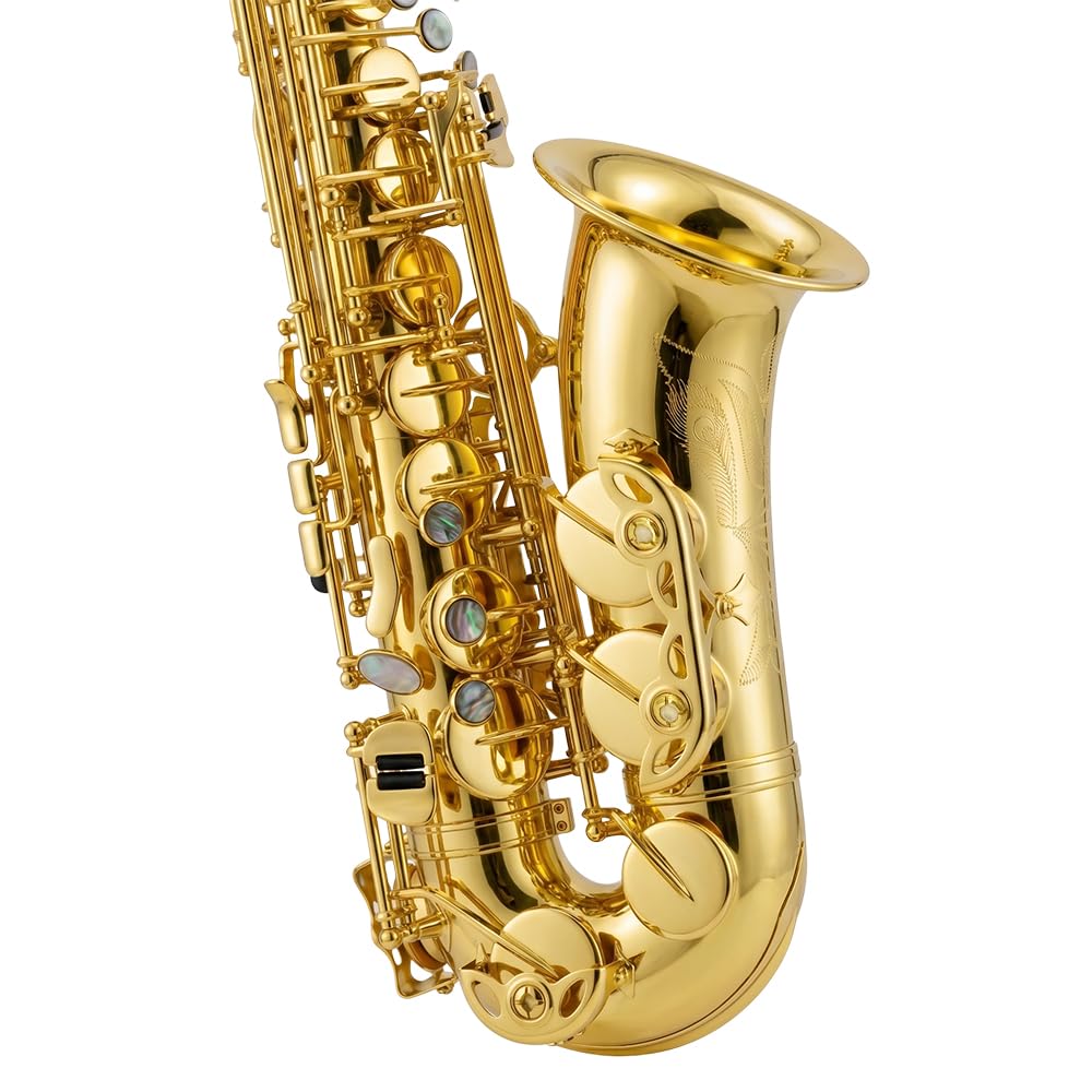 Beginner Alto Saxophone, E Flat - Complete Starter Kit with Case & 10 Reeds, for Adults & Students, Easy to Play for School Band & Practice(Gold)