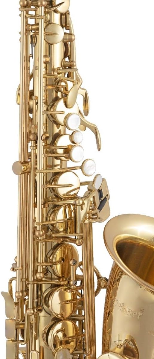 Selmer SAS511 Intermediate Alto Saxophone - Lacquer