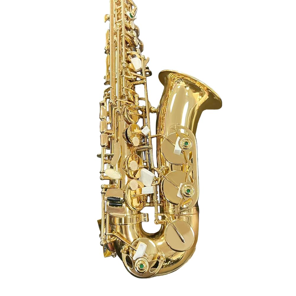 Yinfente Eb Alto Saxophone For Beginners Adult,Saxophone Student,E Flat Alto Sax Full Kit With Reeds,Pads Cushions,Hard Carrying Case,Cleaning Cloth & Rod,Mouthpiece,Gloves,Neck Strap Gold