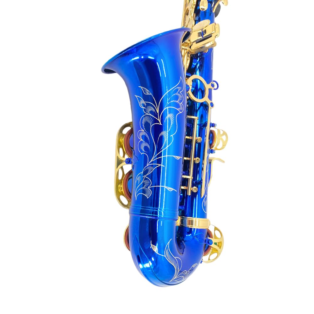 Eb Alto Saxophone Gold Lacquer Brass E-Flat Student Kit with Hard Carrying Case - Includes Mouthpiece, Reeds, Neck Strap and Gloves for School Band