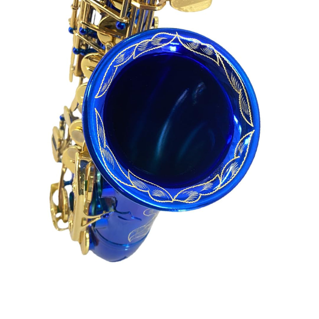 Beginner Alto Saxophone, E Flat - Complete Starter Kit with Case & 10 Reeds, for Adults & Students, Easy to Play for School Band & Practice(Gold)