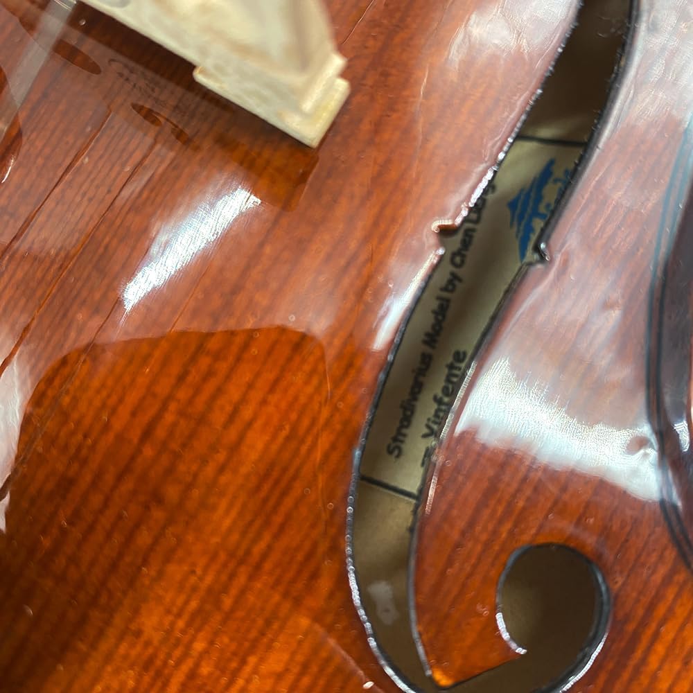 4/4 Violin for Beginners & Adults, Full Size Solid Wood Acoustic Violin with Flamed Back, Case, Bow,Shoulder Rest & Accessories Glossy Finish