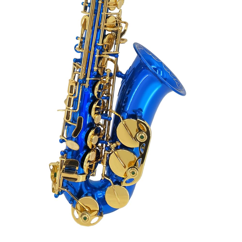 Eb Alto Saxophone Gold Lacquer Brass E-Flat Student Kit with Hard Carrying Case - Includes Mouthpiece, Reeds, Neck Strap and Gloves for School Band