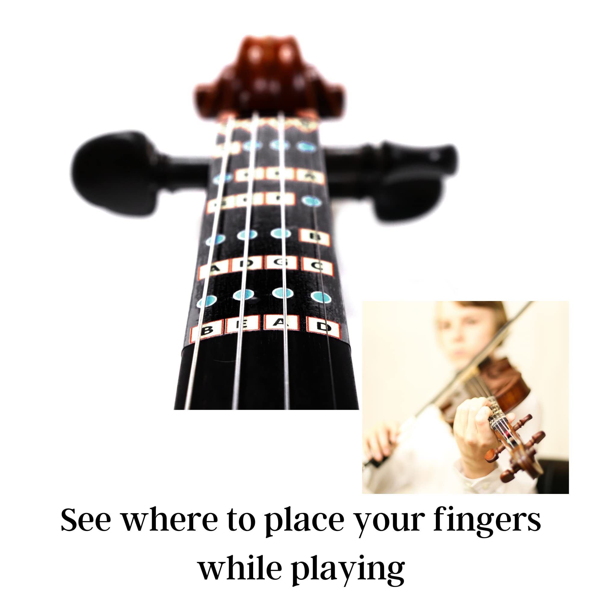 Fantastic Finger Guide for Violins Adult Beginner | Stringed Musical Instruments | Fingerboard and Fretboard Stickers for Learning All Notes | Play or Fiddle, 4/4-Size