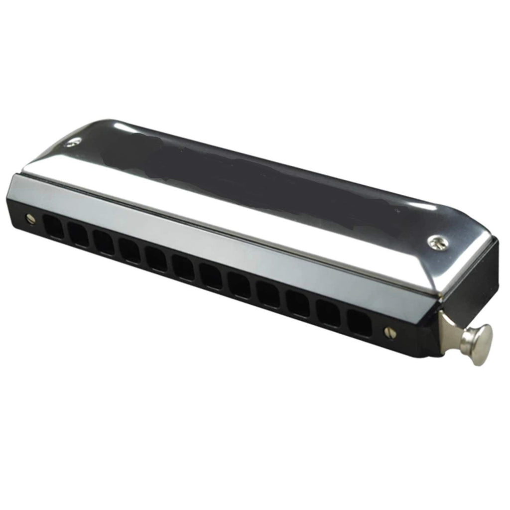 Harmonica Chromatic 12 Hole 48 Notes Mouth Organ Instrumentos Chromatic Harmonica Key C Musical Instruments